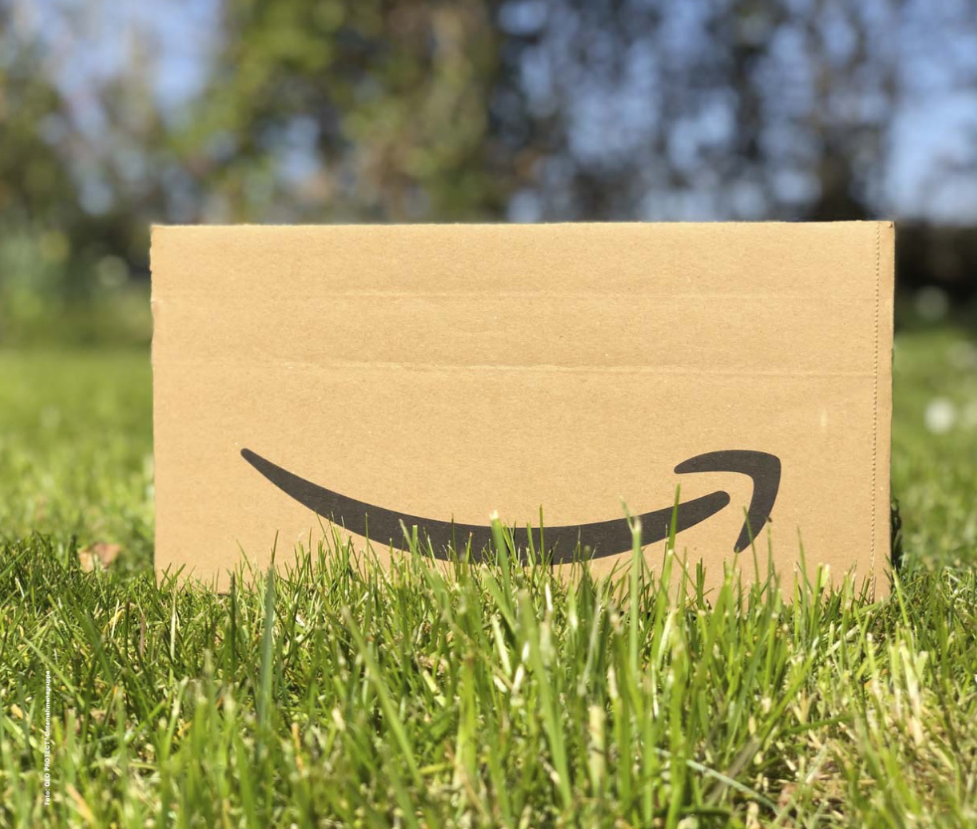 Amazon Paket in Gras, GEO PROTECT®-Referenz Regenwasserbehandlung.